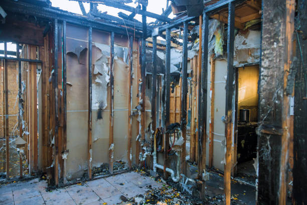 Professional Odor Removal technician working in Clifton, VA