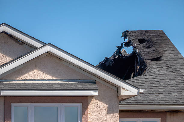 Top rated local Odor Removal specialists in Clifton, VA